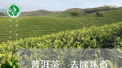 普洱茶 去除味道/2023041028593